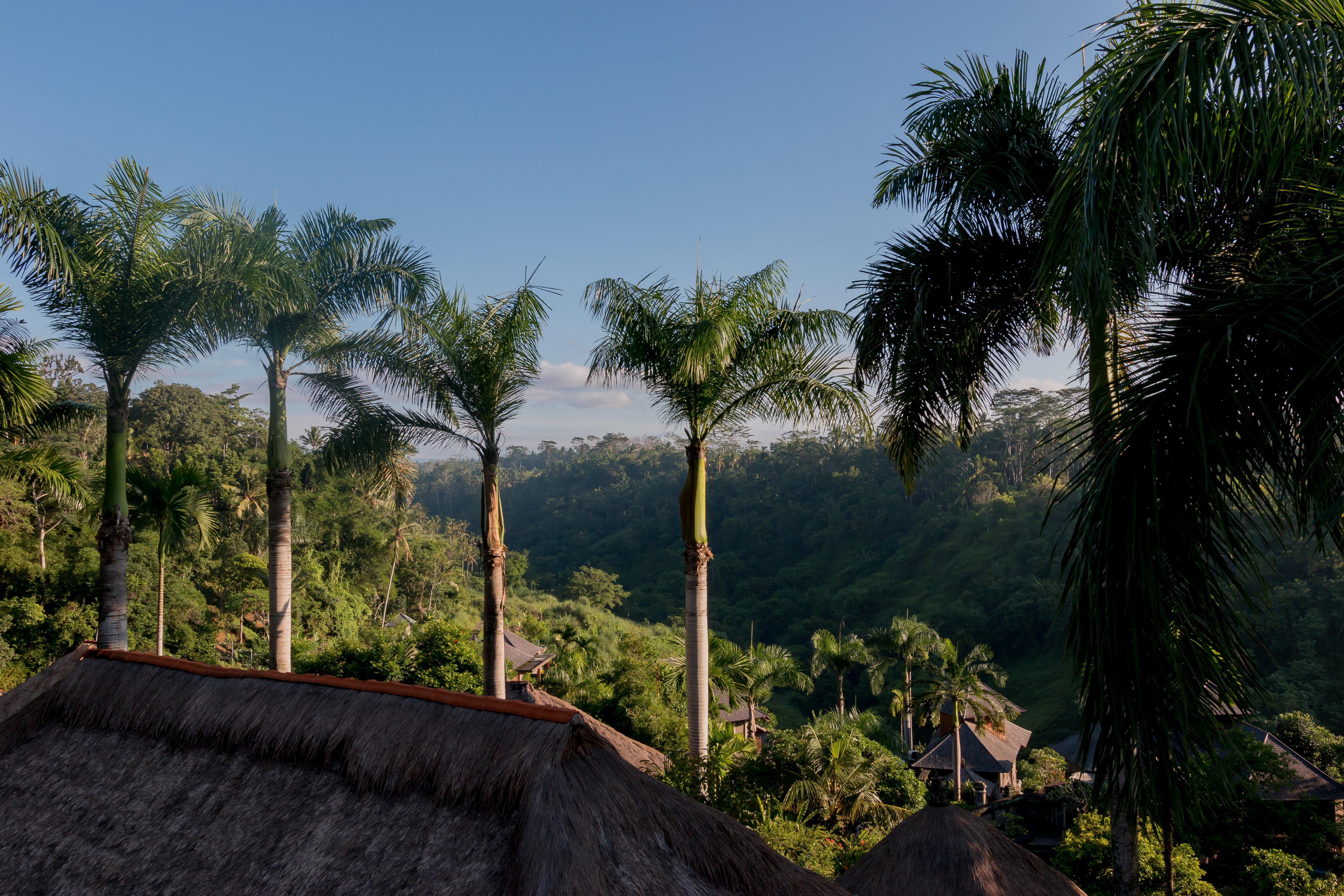 The Payogan Villa Resort And Spa Ubud Exteriör bild
